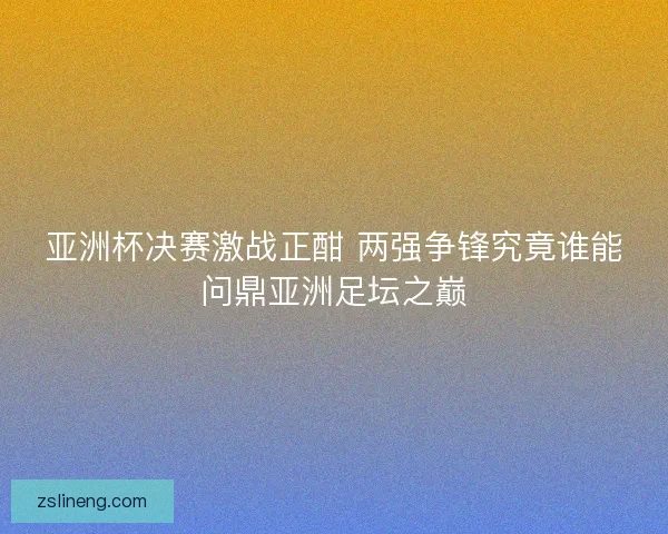 亚洲杯决赛激战正酣 两强争锋究竟谁能问鼎亚洲足坛之巅
