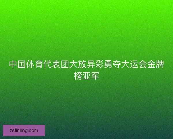 中国体育代表团大放异彩勇夺大运会金牌榜亚军